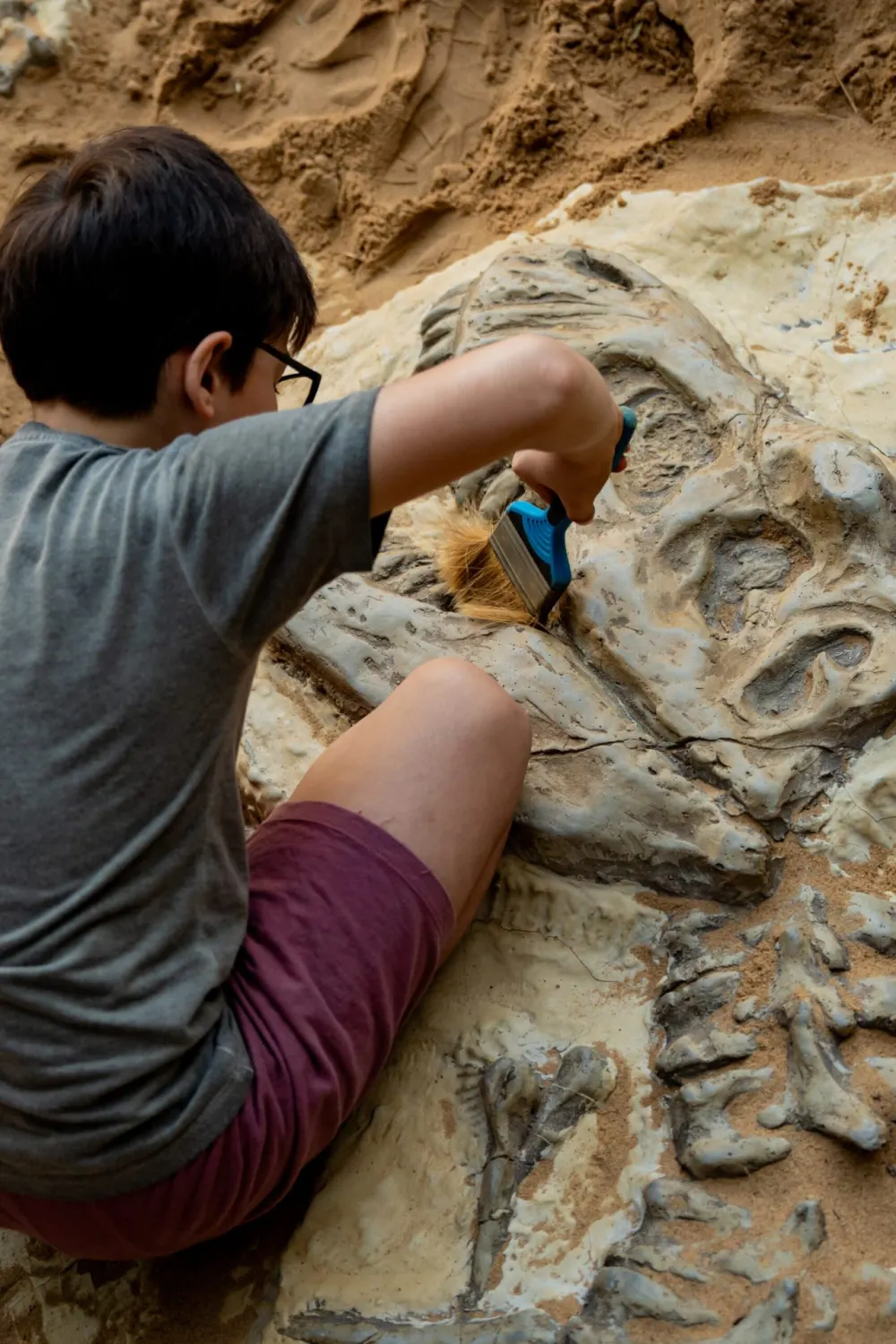 Excavando fósiles en la zona de excavación